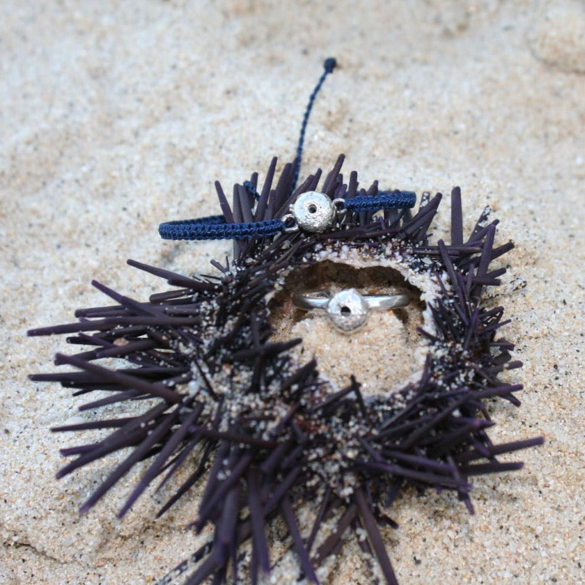 Anillo Erizo de Mar