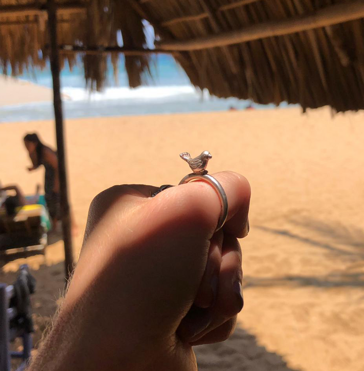 Anillo Pájaro Idem